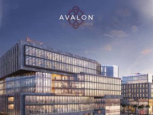 مول افالون العاصمة الإدارية | Avalon Mall New Capital